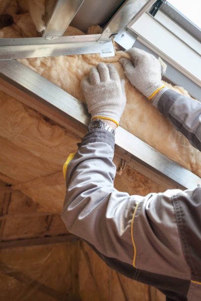 Best Types of Insulation in Panaca, NV
